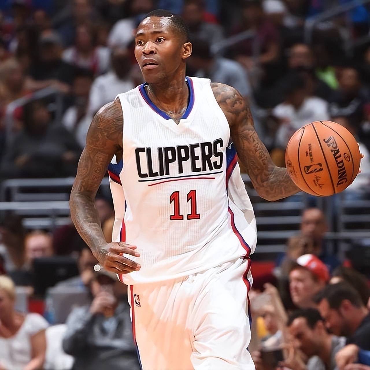 退役和回归 退役和回归