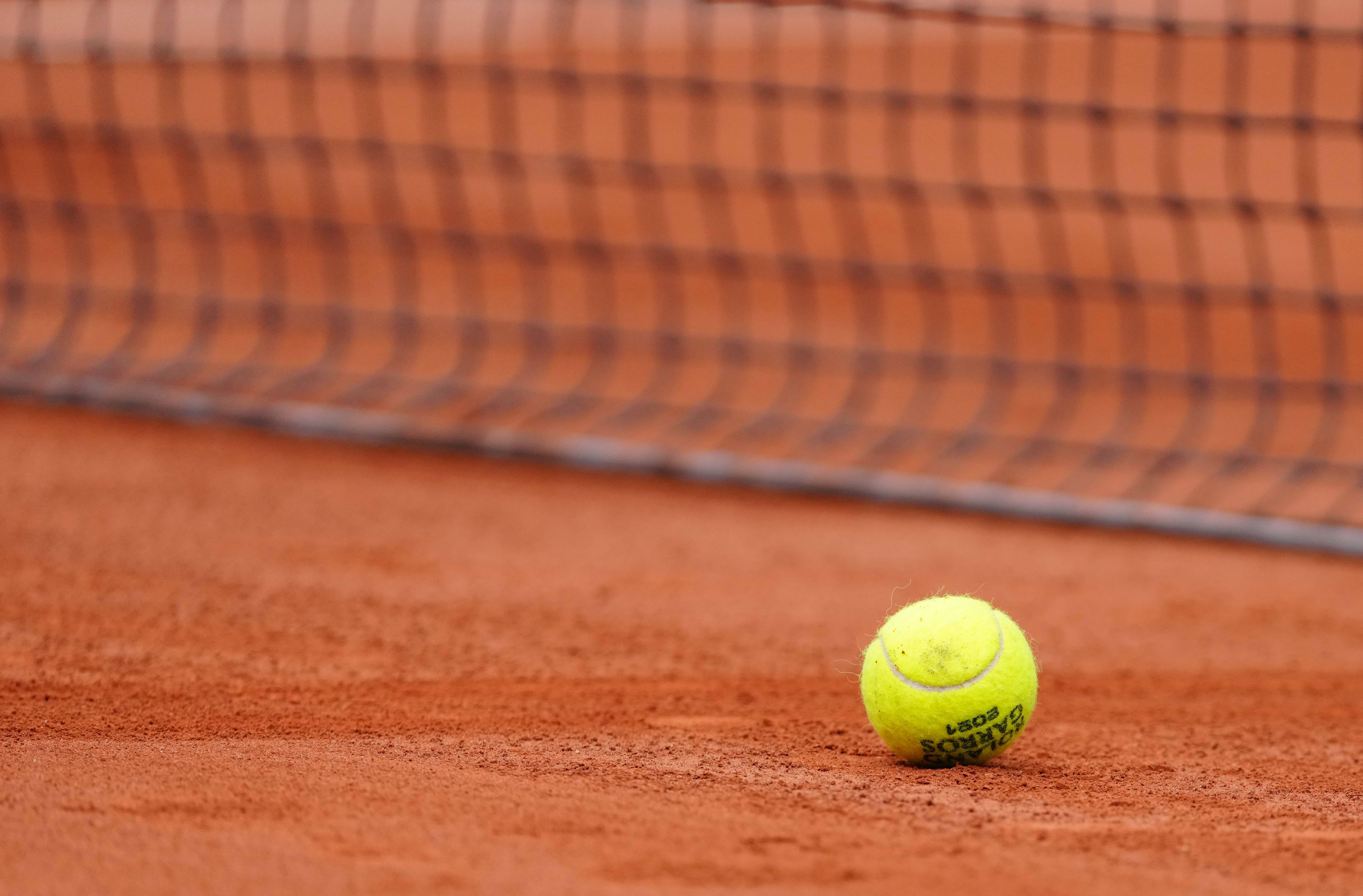 贝尔纳多 贝尔纳多