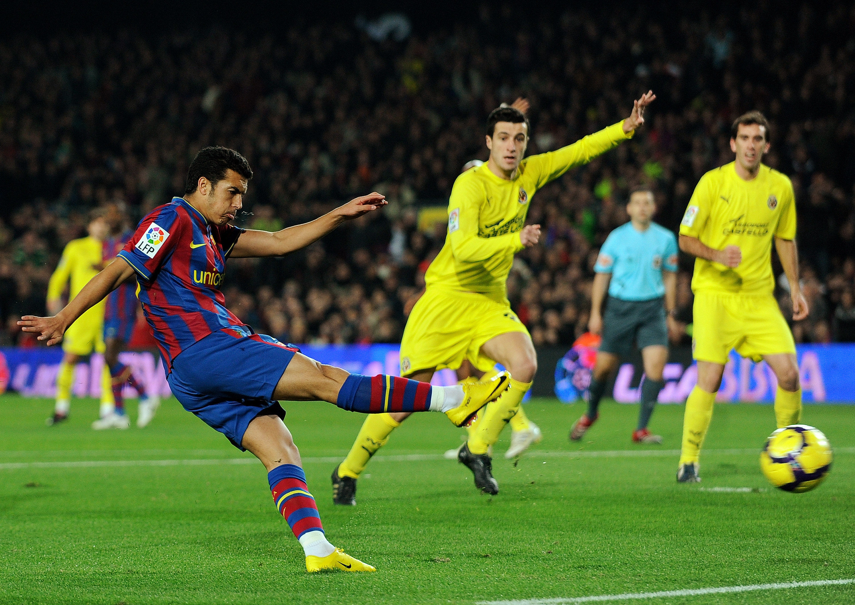 他的到来 他的到来