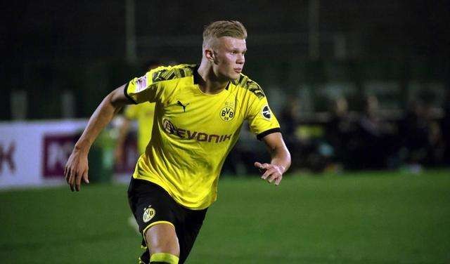 诺如何用可 诺如何用可